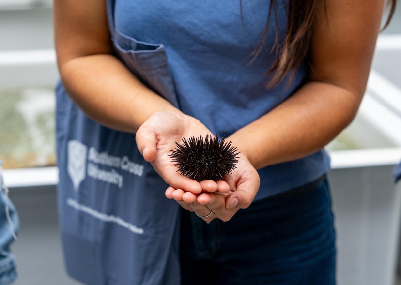 Student holding sea urchin at National Marine Science Centre