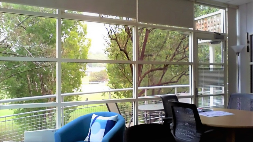 An office showing the view of trees from the window