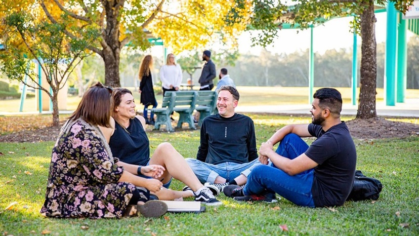 Group of students sitting under trees