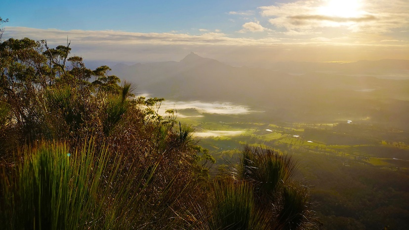 The view from Wollumbin to the coast