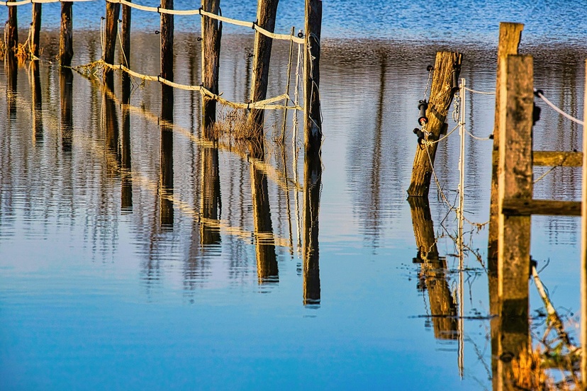 Flooded fence