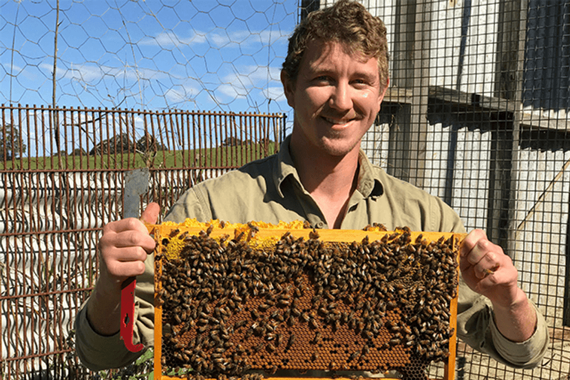 Cooper Schouten holding honeycomb covered in bees