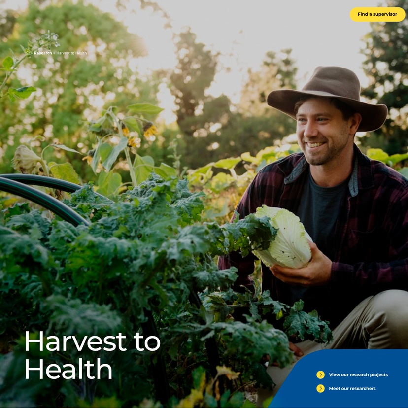 screenshot of the harvest to health landing page for the news article