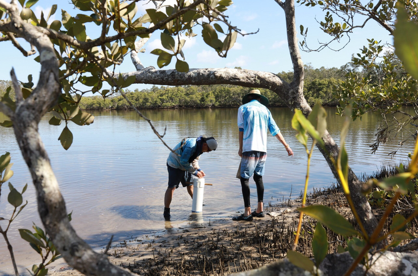 Sampling the River