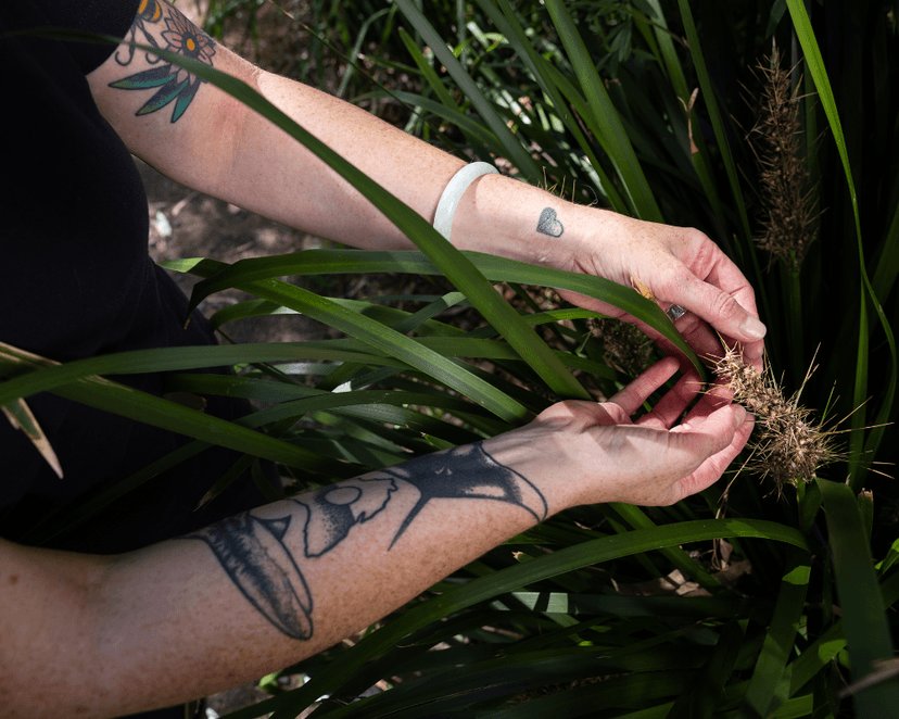 Bush medicine_Dr Alana Gall