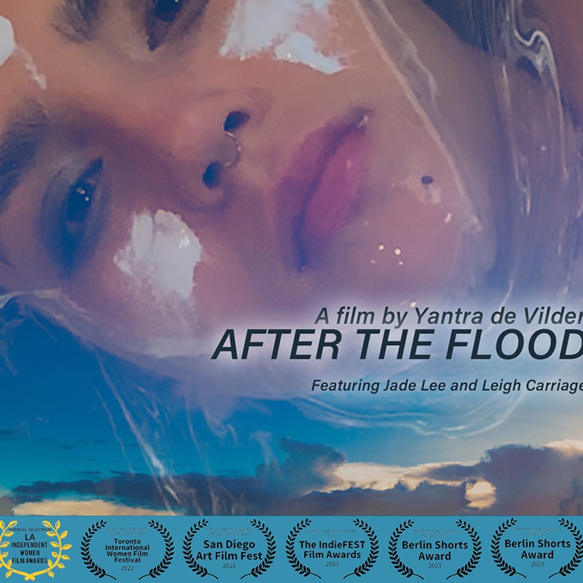 After The Flood film