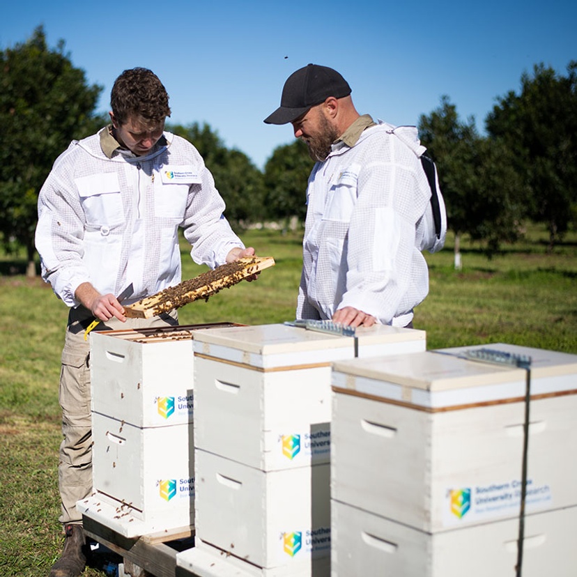 Bee researchers Cooper Schouten and Pete Wilkins in the field with bee hives