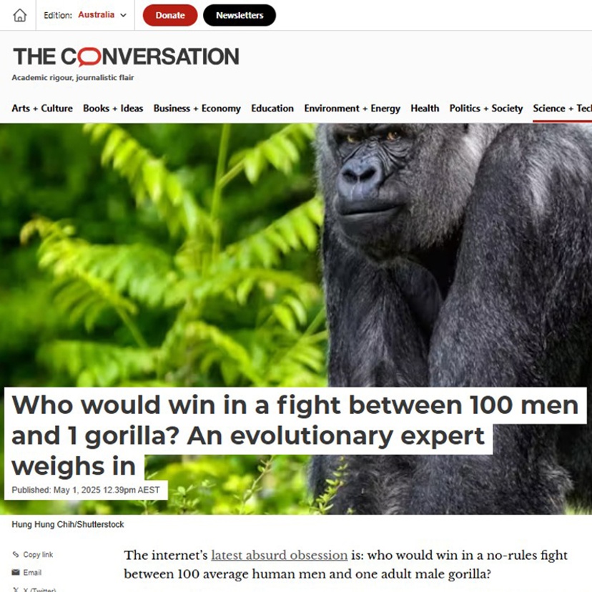 The Conversation article - Who would win in a fight between 100 men and 1 gorilla?