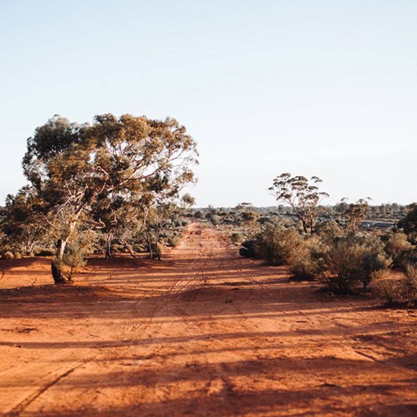 Outback landscape