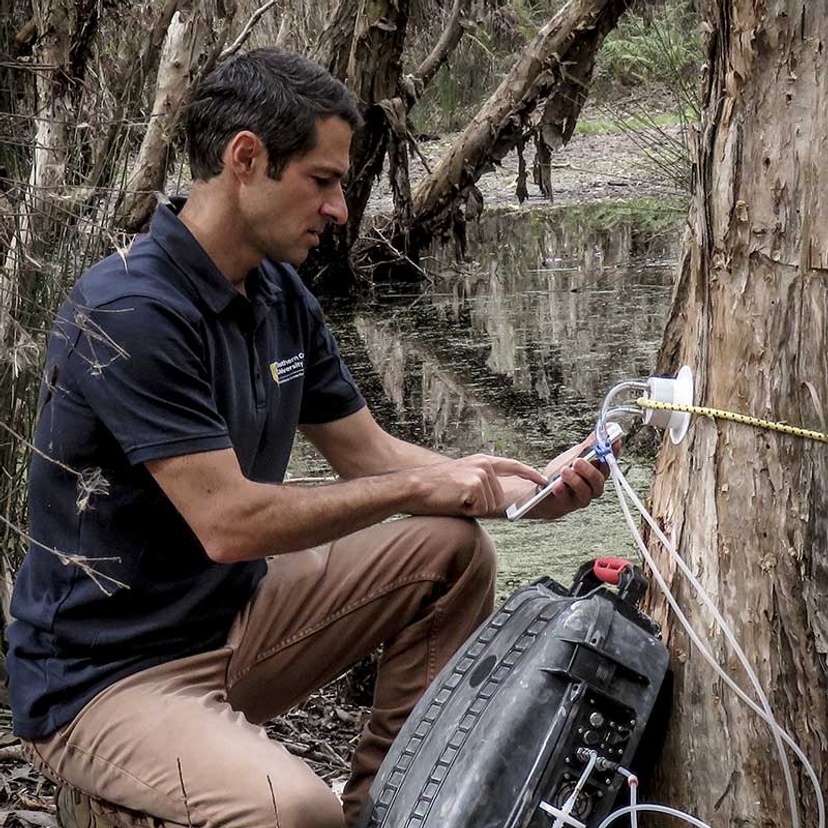 man crouching beside tree using science equipment