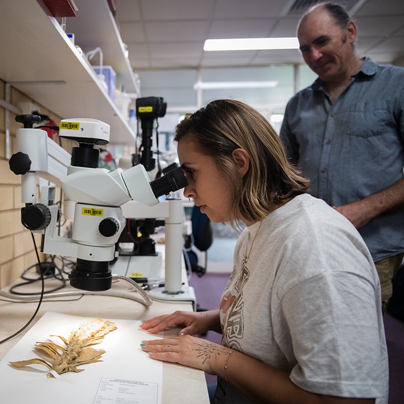 Person in white t shirt sitting looking through microscope, person standing watching them