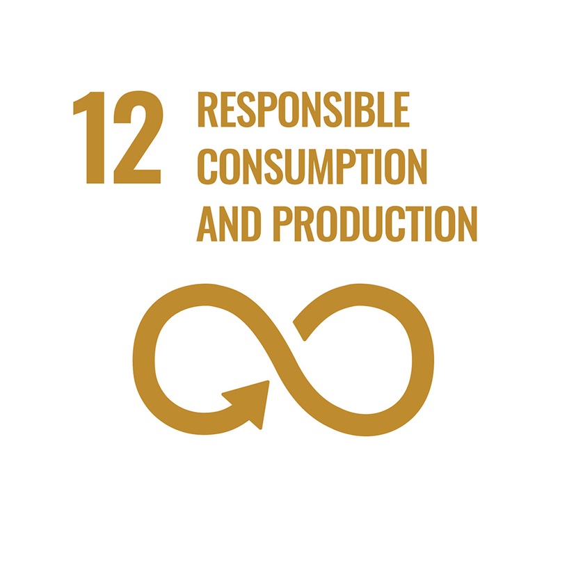 SDG Goal 12. Responsible consumption and production