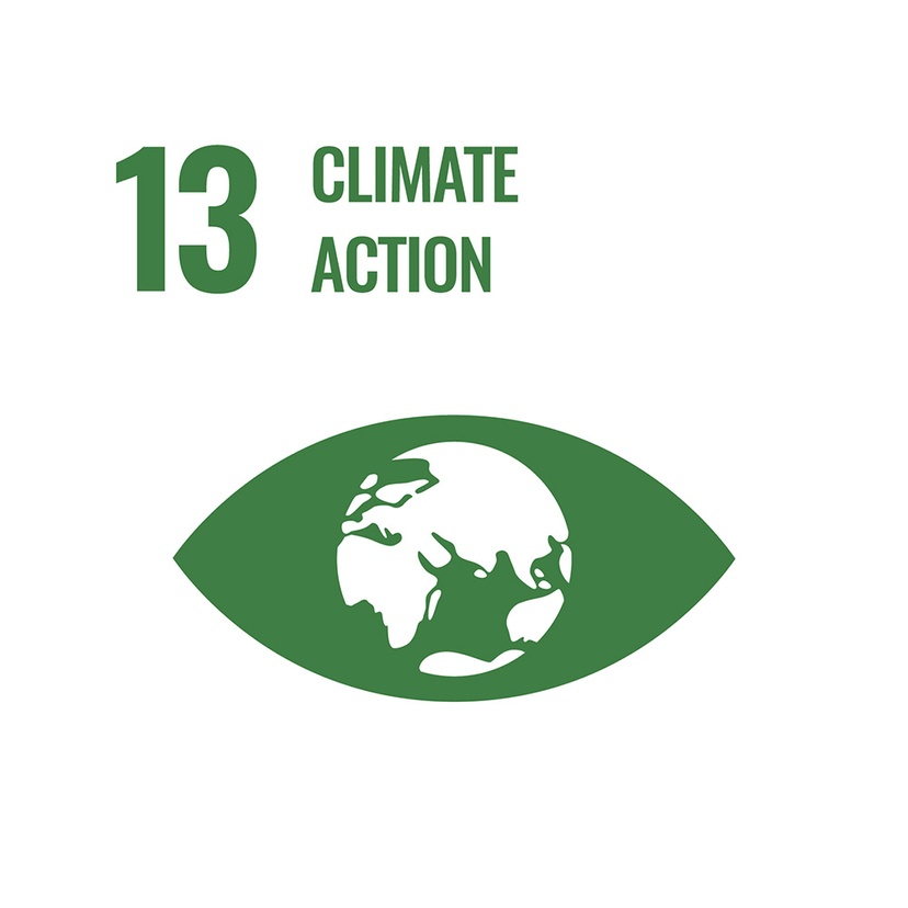 SDG Goal 13. Climate action