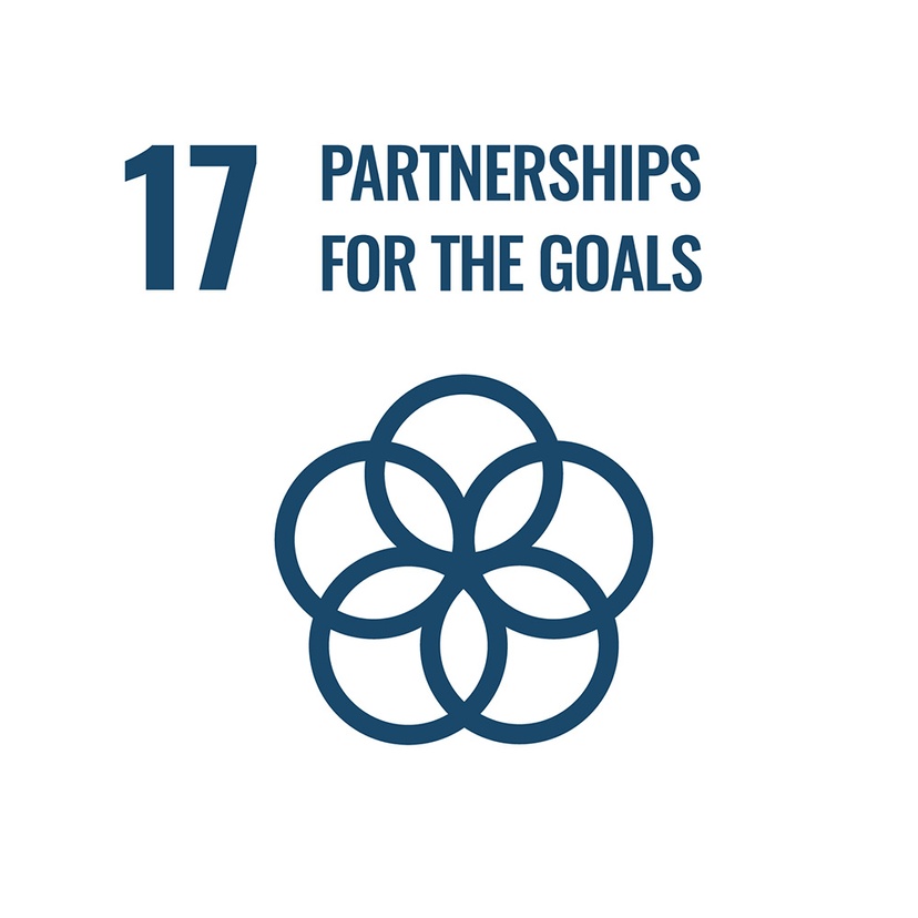 SDG Goal 17. Partnerships for the goals