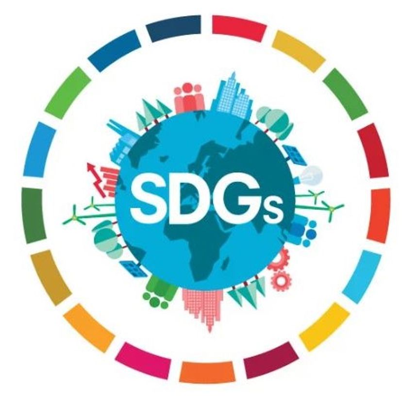 SDGs logo pic