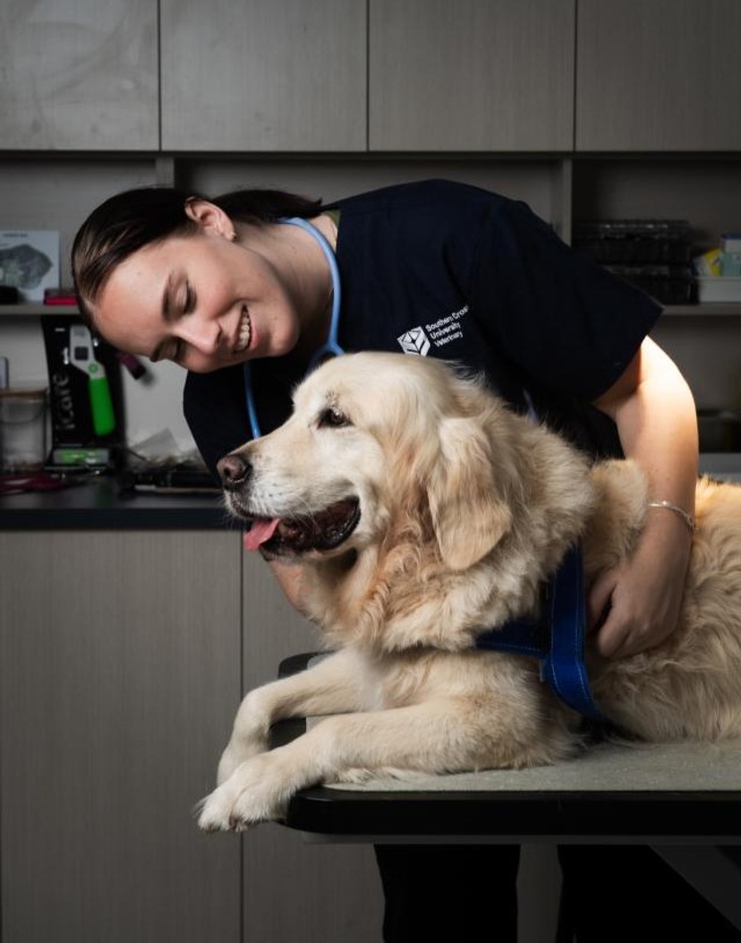 A smiling person wearing navy scrubs holding a golden labrador dog sitting in front of her on a clinic bench
