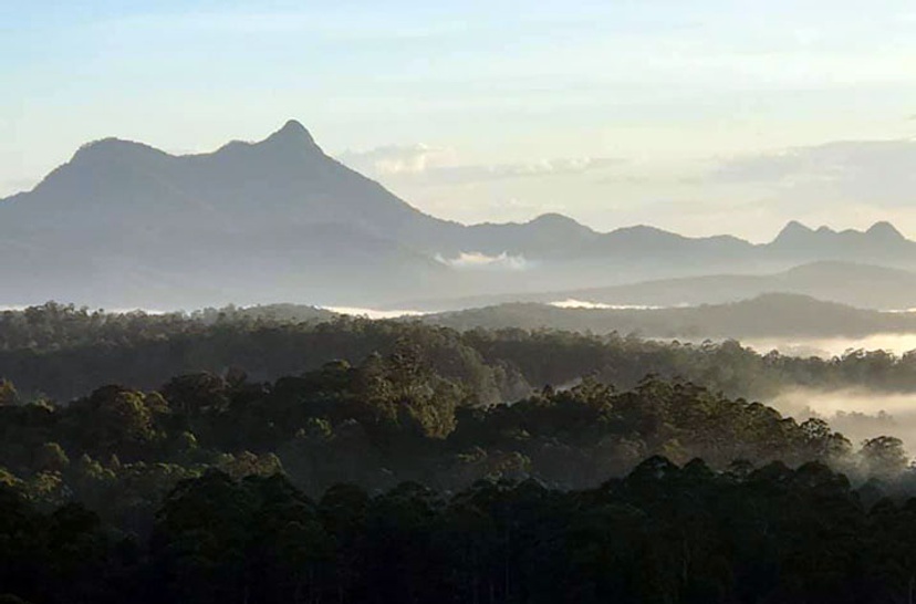 Wollumbin National Park