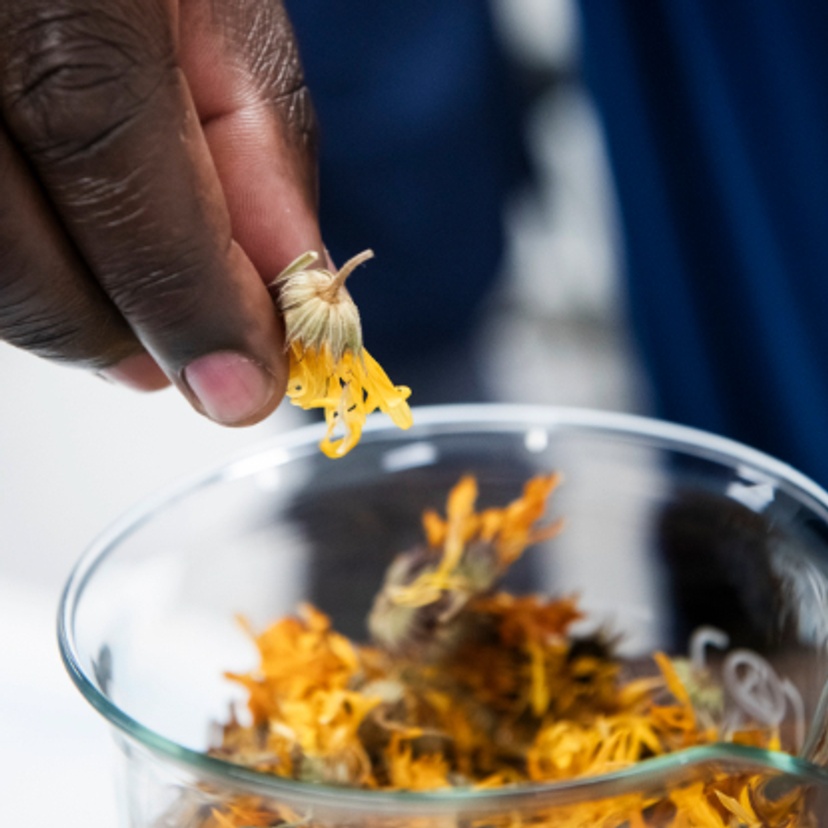 Hand in a beaker of yellow herbs