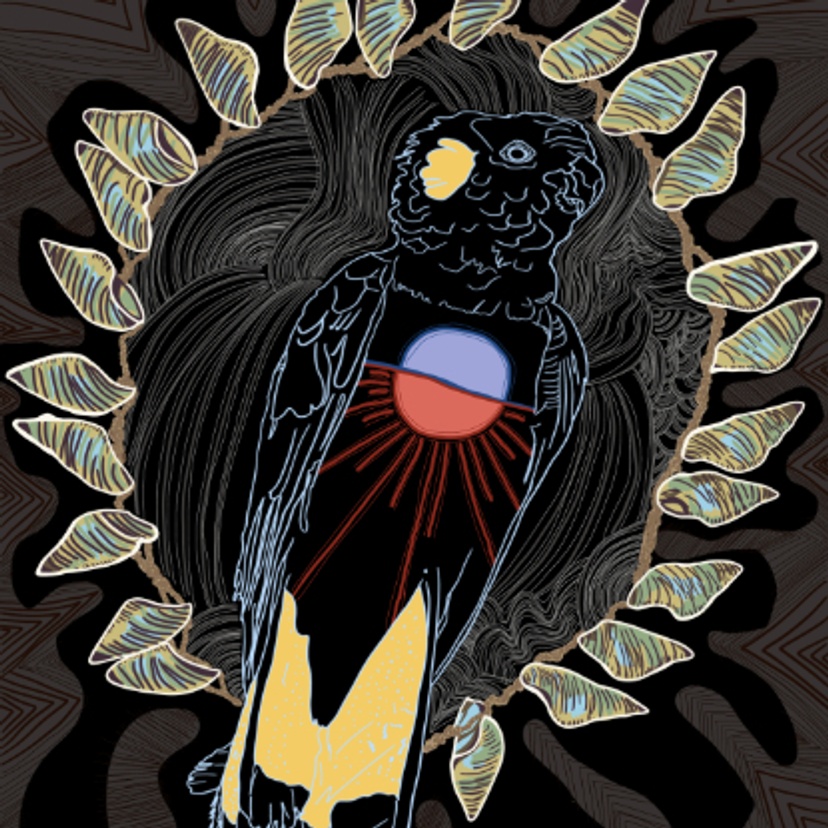 Drawing of a black cockatoo surrounded by a shell necklace