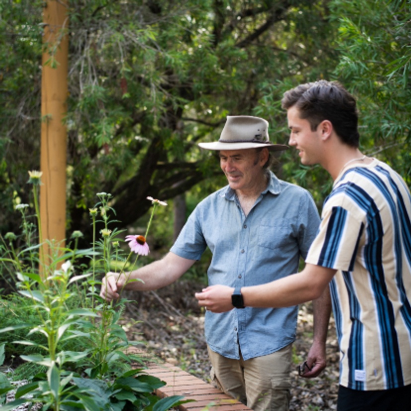 Two men looking at plants in a garden