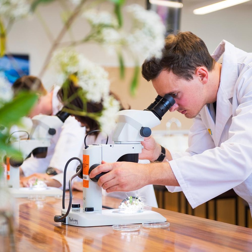 man looking through microscope