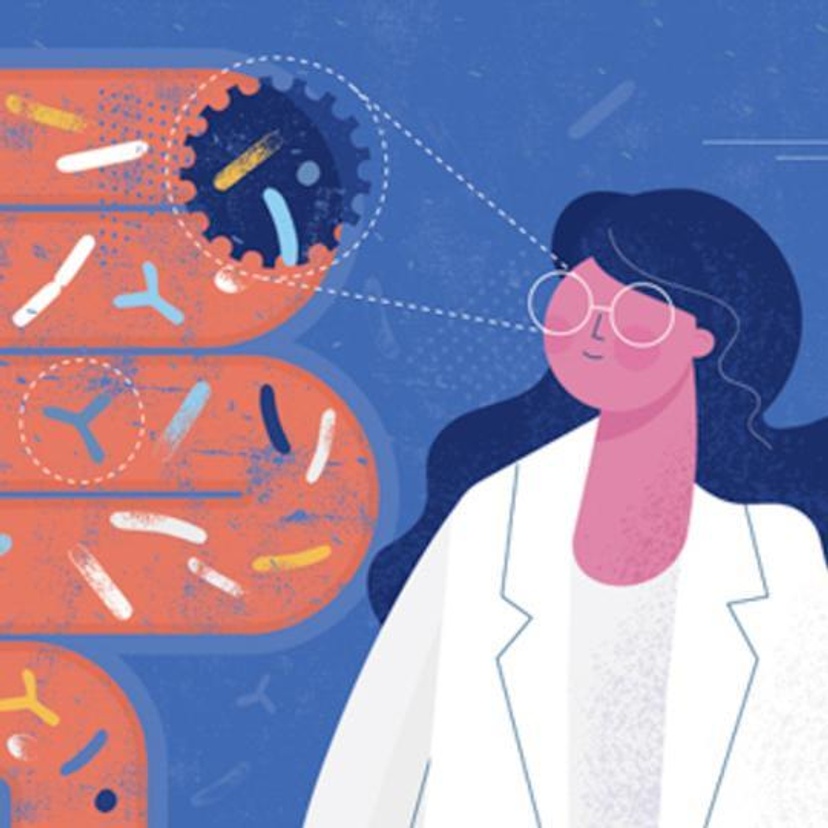 Cartoon woman scientist exploring gut microbiome