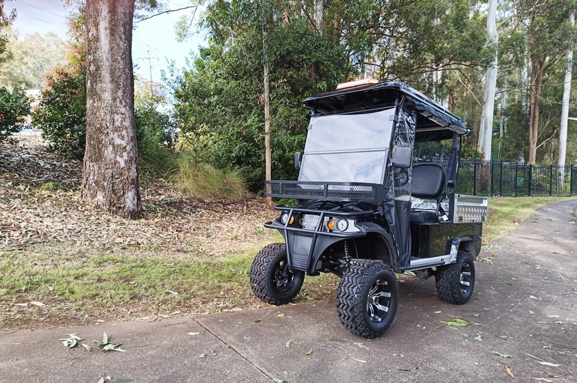 electric buggy infront of park of gum trees