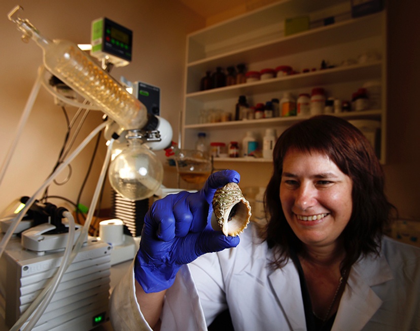 Kirsten Benkendorff with dicathais in lab