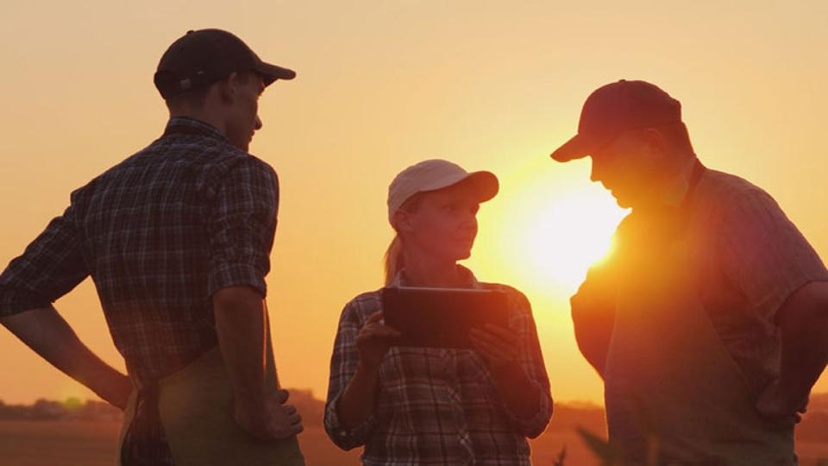 Three farmers with sunset in the background