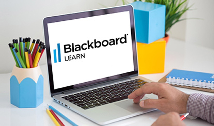 Build Blackboard SC Model