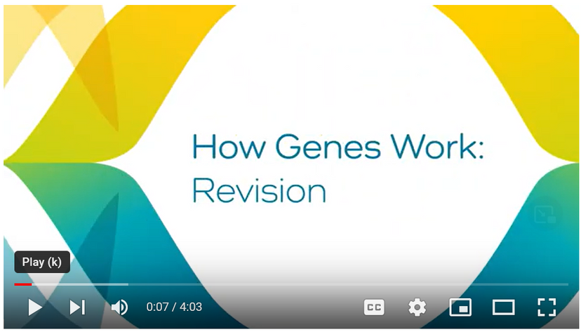 Intro screen to how genes work video