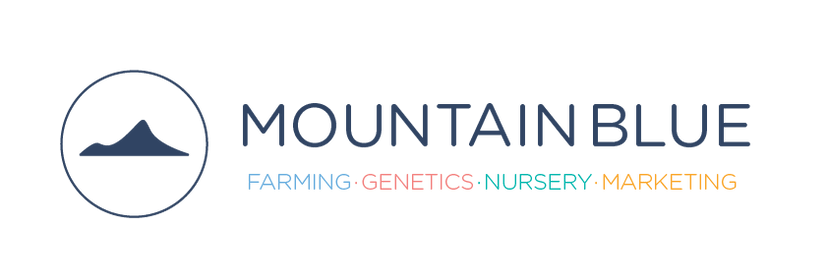 Mountain Blue logo