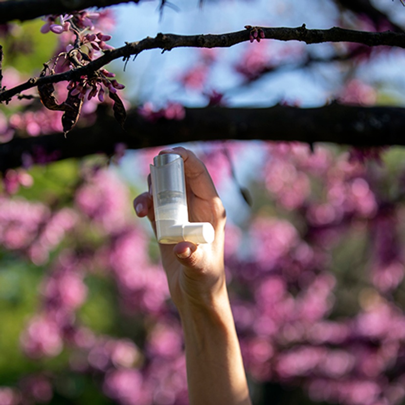 Asthma puffer and flowering tree