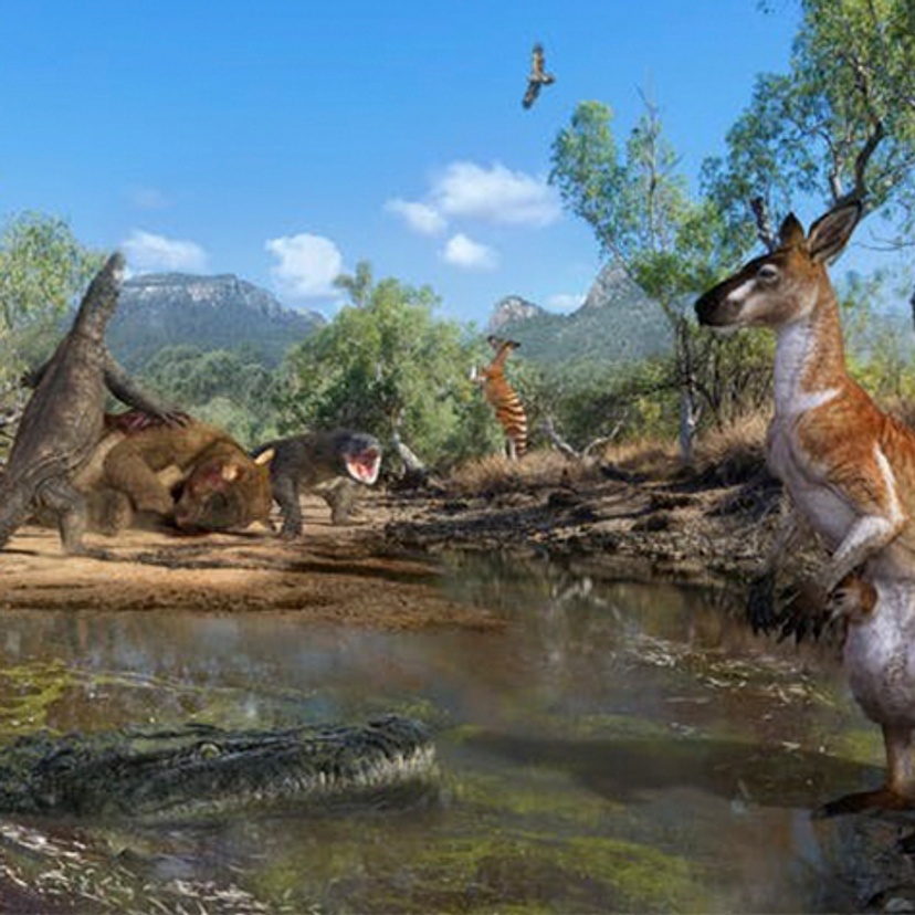 For T4 Image Credit R. Bargiel, V. Konstantinov, A.