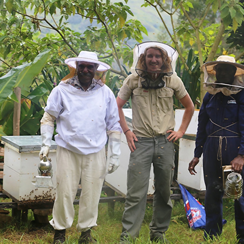 Harvesting honey in the highlands of PNG with beekeeping guru Mr Wilson Tomato (left), Dr Cooper Schouten and Mr Paki Billy in partnership with the Market Development Facility and Highlands Honey. Credit Coooper Schouten