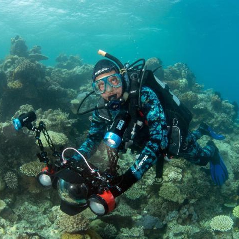 Man scuba diving at a coral reef