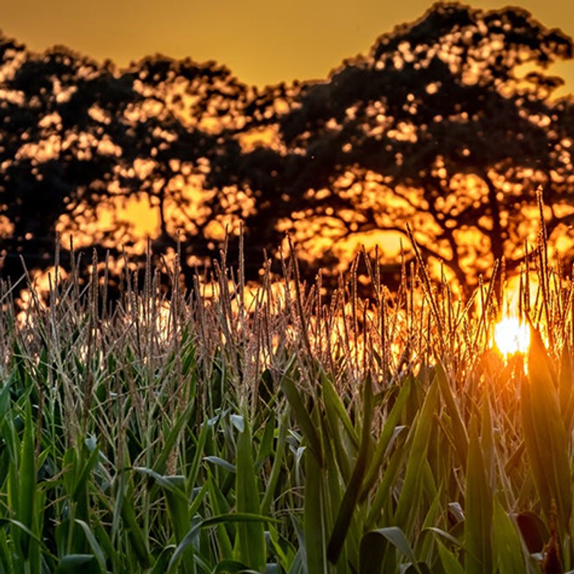 The Conversation CO2 carbon