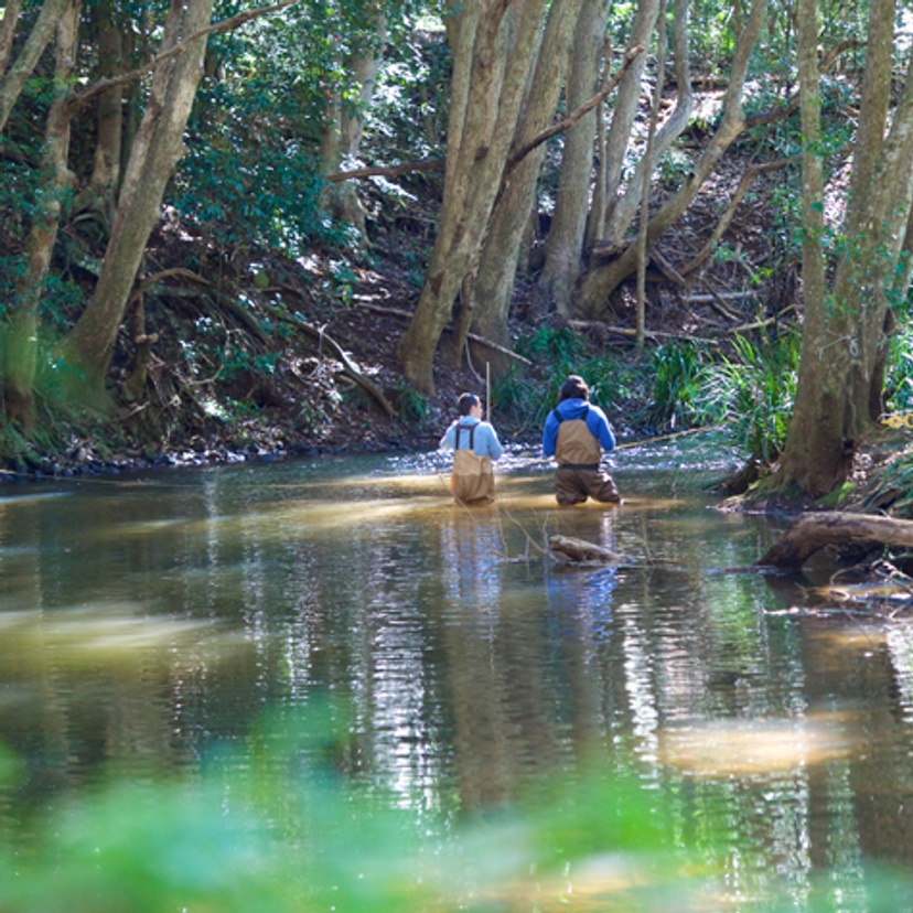 Eyre - freshwater research