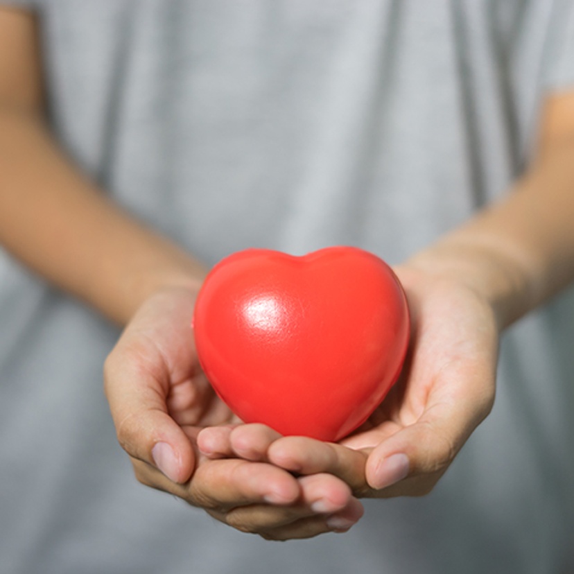Cupped hands holding a heart