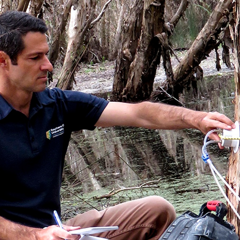 Dr Luke Jeffrey Conducting wetland research