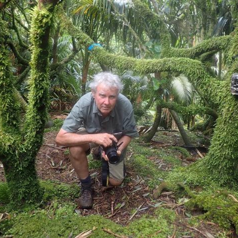 Man holding a camera squatting down in a rainforest