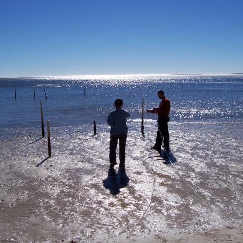 Two people on a beach shoreline setting up scientific instruments.