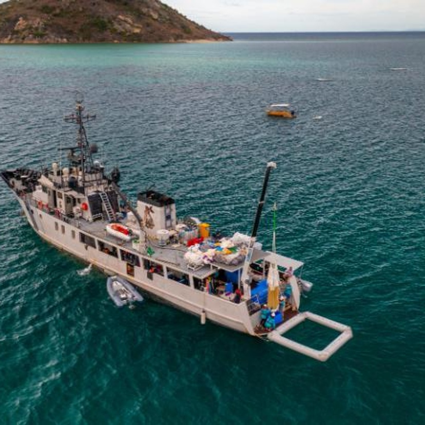 A large ship with floating pools on the ocean