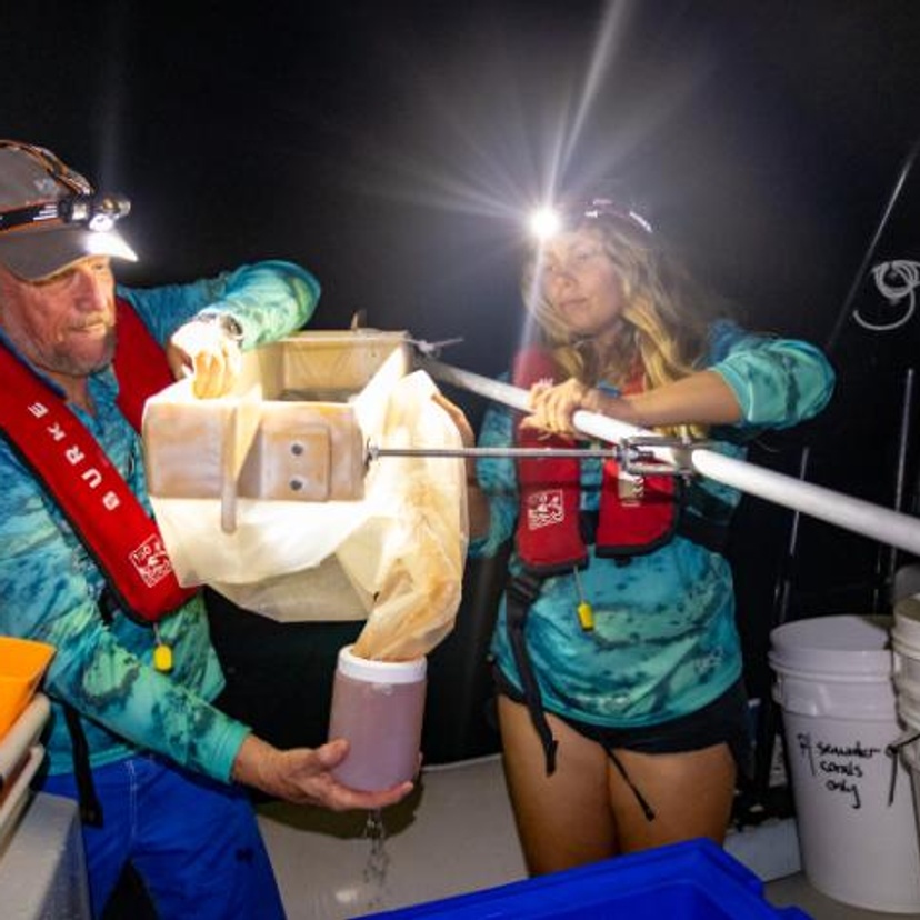 A man and woman working at night on a boat collecting spawn