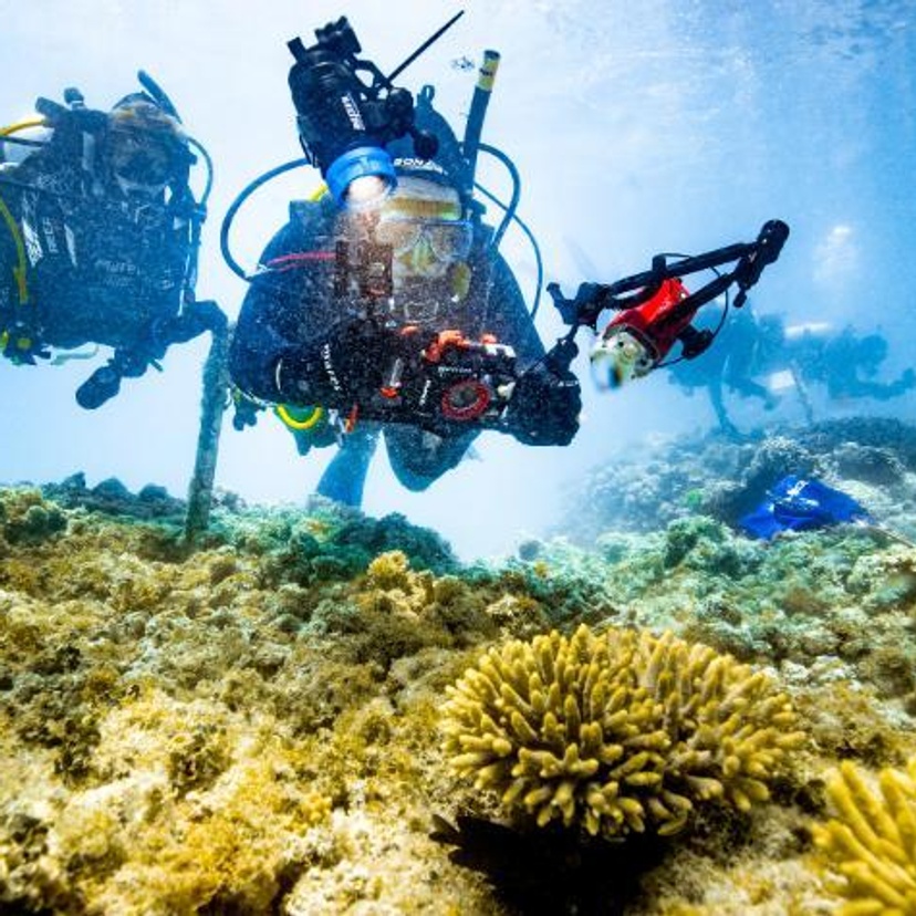 Scuba divers swimming in coral reef, with front diver holding a camera