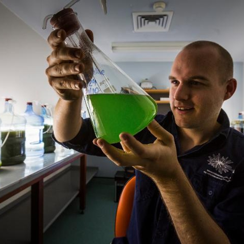 Scientist holds up beaker with green liquid
