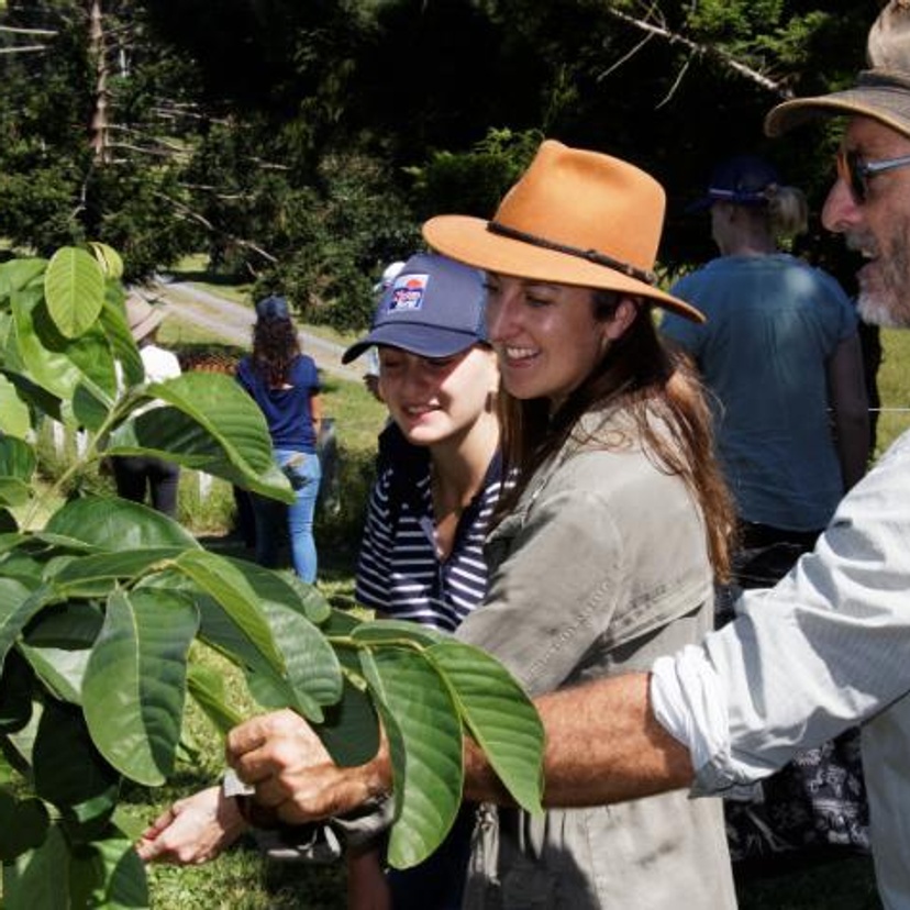 A group of people looking at fruit trees