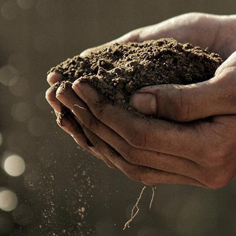 Close-up of hands holding dirt
