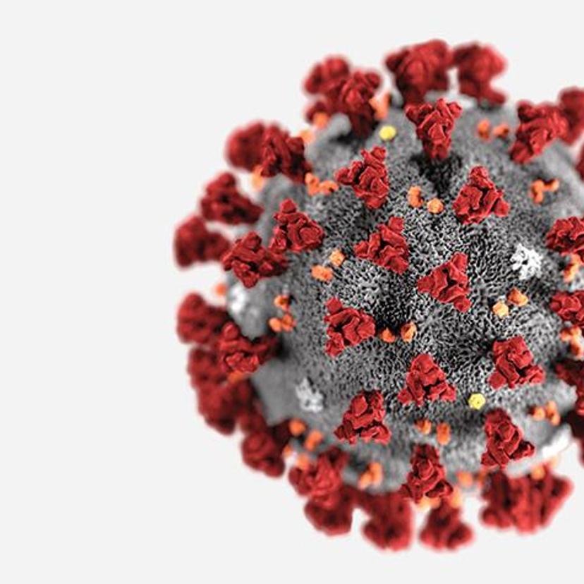 Covid virus