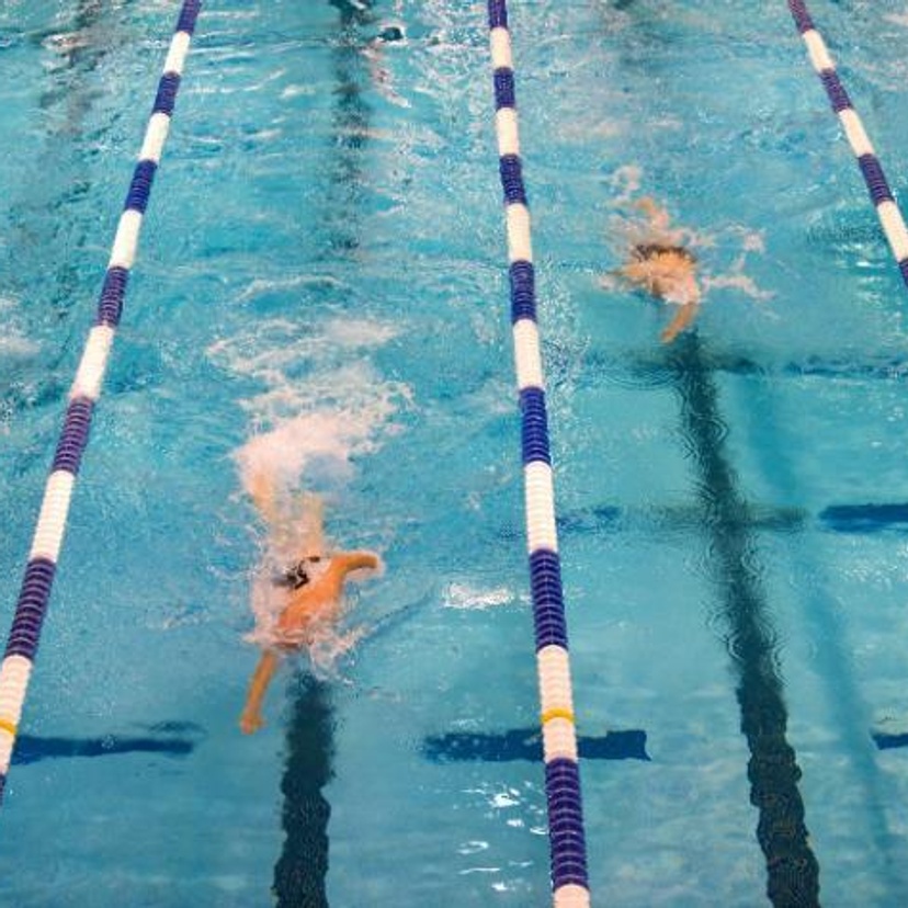 Olympic swimming pool with 4 swimmers in lanes